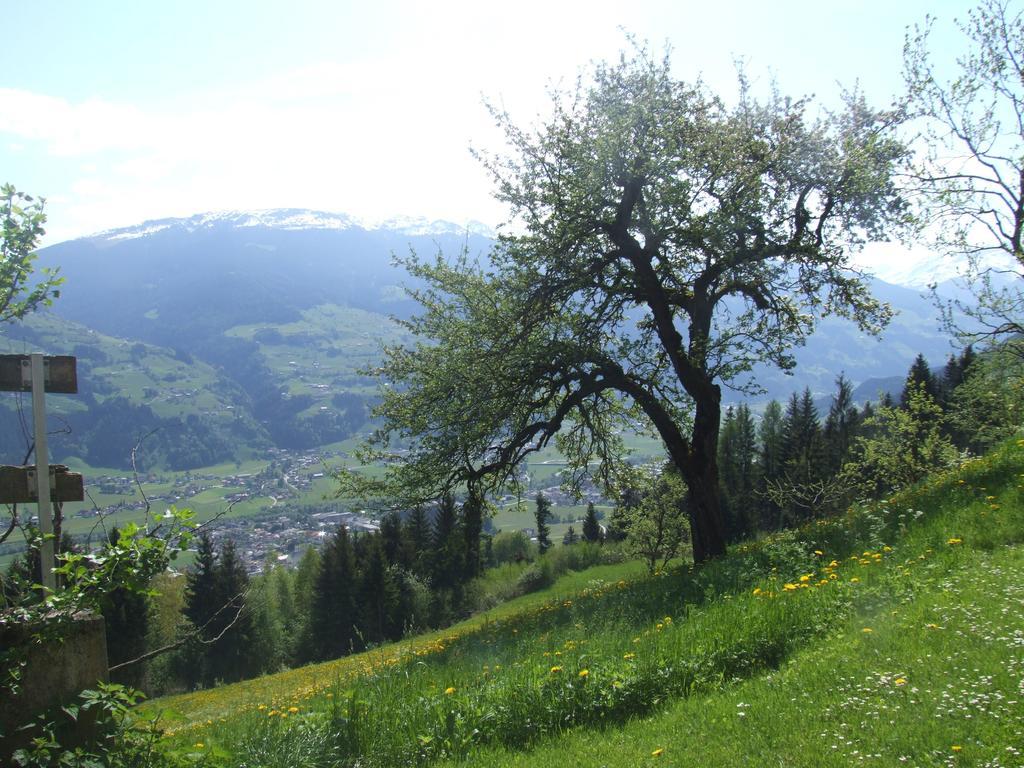 Ferienwohnung Lehenhof Ried im Zillertal Bilik gambar